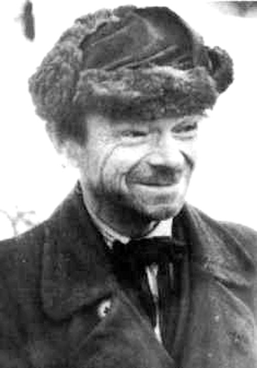 Накифора Дворняка