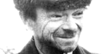 Накифора Дворняка