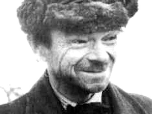 Накифора Дворняка