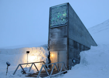 Внаслідок війни в Сирії вчені вперше відкрили «сховище судного дня»