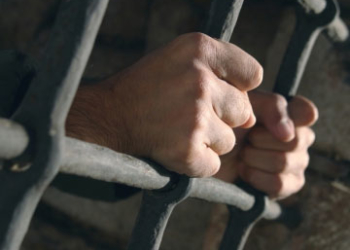 За вбивство вітчима судитимуть пасинка