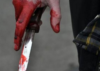 Вбивство на Борщівщині: батько зарізав сина…