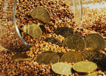 В України таки скасують спецмито на імпортні авто