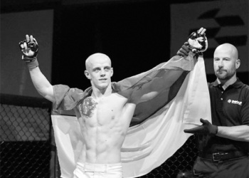 фрі-файтисти