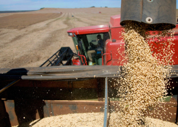 Дві третини експорту Тернопілля — до Європи