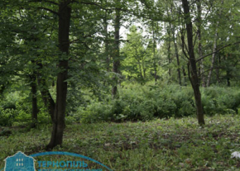 Що було на місці новоствореного «Парку здоров’я»? (ФОТО)