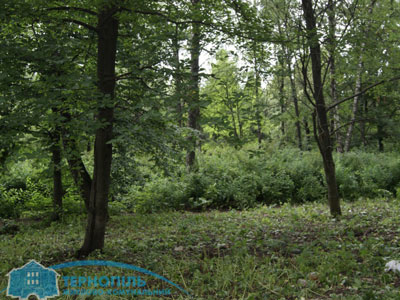 Що було на місці новоствореного «Парку здоров’я»? (ФОТО)