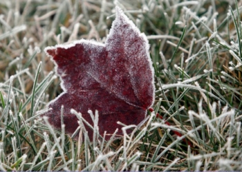 Період похолодань передбачають на Тернопільщині (оновлено)