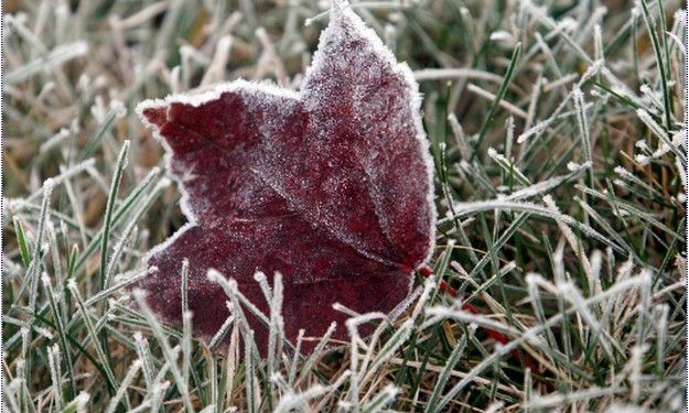 Період похолодань передбачають на Тернопільщині (оновлено)