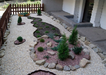 «День має розпочинатися красиво, а створити красу власноруч усім під силу», – тернополянка