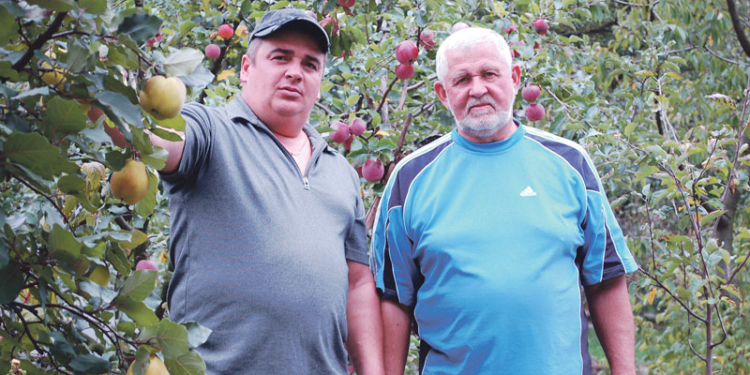 Сад із найкращих острівських саджанців