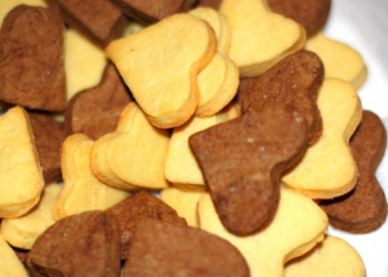 Вихованці школи-інтернату зберуть кошти для бійців АТО