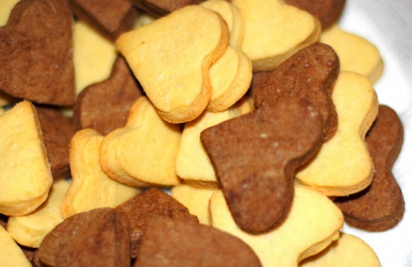 Вихованці школи-інтернату зберуть кошти для бійців АТО