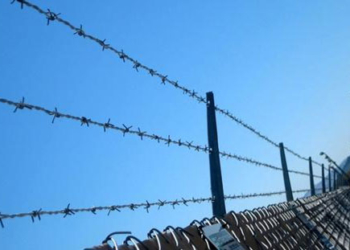 Працівник виправної колонії може втратити роботу через… телефон