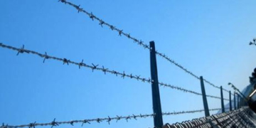 Працівник виправної колонії може втратити роботу через… телефон