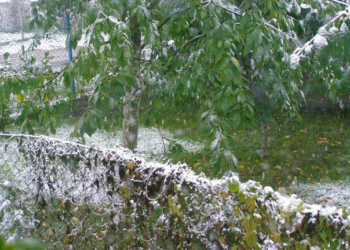 Сніг уже випав і на півдні Тернопільської області, і в горах