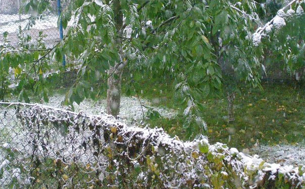 Сніг уже випав і на півдні Тернопільської області, і в горах