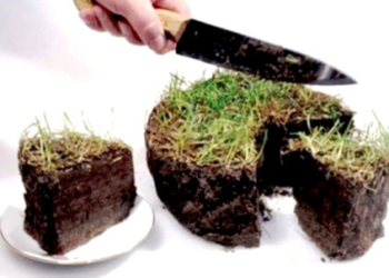 На Тернопільщині громаді повернули земельні ділянки