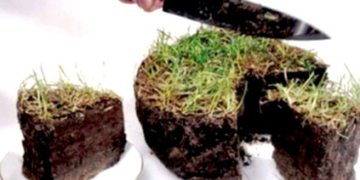 На Тернопільщині громаді повернули земельні ділянки