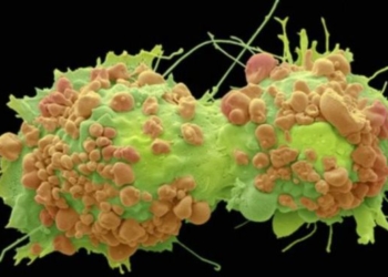 У високих людей більше шансів захворіти на рак