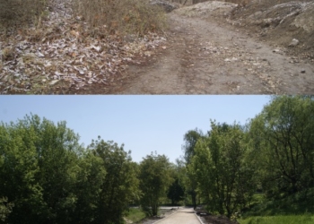 Що змінилося у тернопільських дворах за рік? (ФОТО)