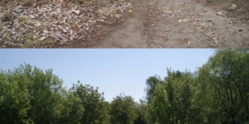 Що змінилося у тернопільських дворах за рік? (ФОТО)