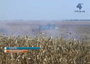 Масштабна пожежа сталася на Тернопільщині 4 жовтня