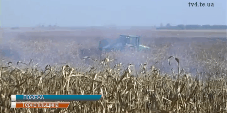 Масштабна пожежа сталася на Тернопільщині 4 жовтня