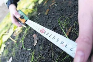 орендована земля