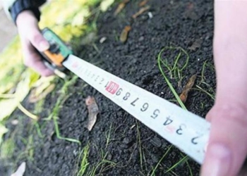 орендована земля