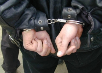 Злодіїв на ферму впускав… охоронець