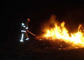 На Лановеччині затримали серійного палія