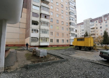 На «Алясці», де триває ремонт, висадять нові дерева