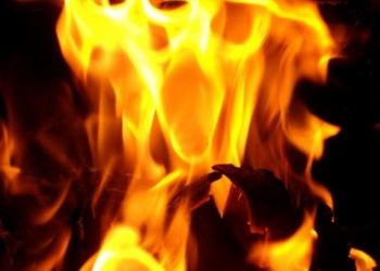 У Великій Березовиці ледь не згоріли двоє дітей