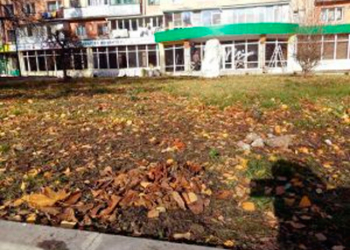 Як покарати «зелених» злодіїв у Тернополі?