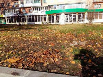 Як покарати «зелених» злодіїв у Тернополі?