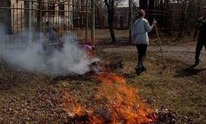 Муніципали міськради штрафуватимуть за спалення листя чи сміття