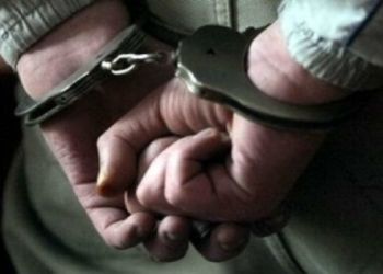 На викраденій автівці скоїв ДТП