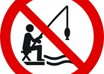 Де на Тернопільщині уже не можна ловити рибу