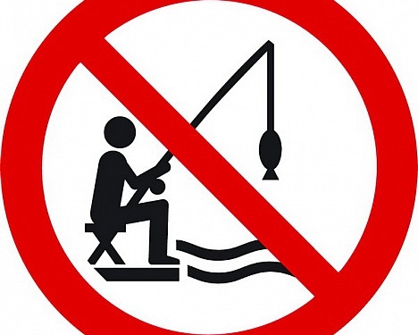 Де на Тернопільщині уже не можна ловити рибу