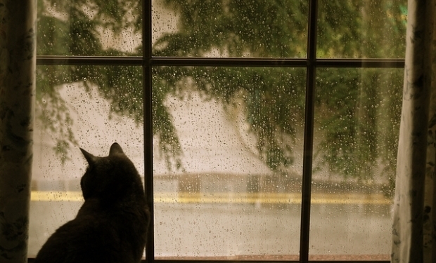 Сніг варто чекати… аж під Новий рік?