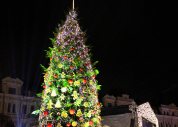 Тернопільська ялинка далеко не найвище в Україні, проте – патріотична