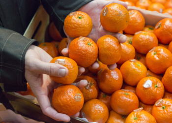 В Україні можуть подешевшати овочі та фрукти