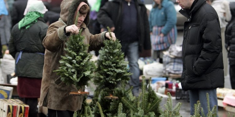 Останні економічні новини України: скільки коштують новорічні ялинки та ціни на пальне