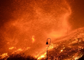 Весна посеред зими (ФОТО)