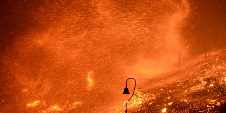 Весна посеред зими (ФОТО)