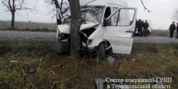 Смертельна аварія у Заліщиках: бус врізався у дерево