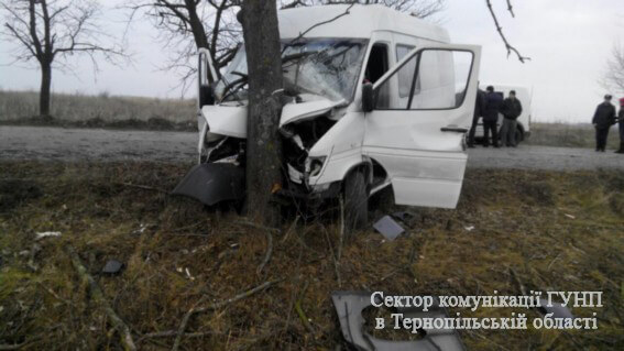 Смертельна аварія у Заліщиках: бус врізався у дерево