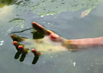 У Тернопільському районі в ставі знайшли тіло чоловіка