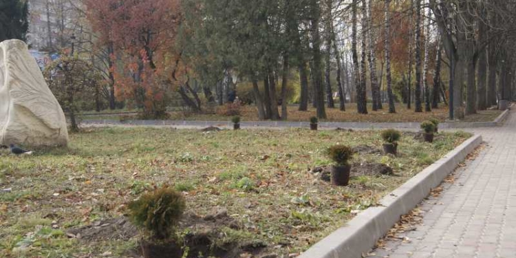 В міському управлінні ЖКГ просять тернополян не красти дерева